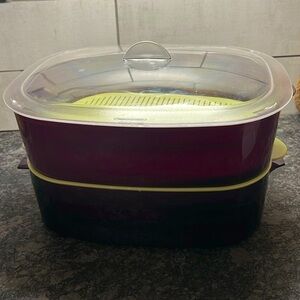 Tupperware Oval Stack Cooker Microwave Meal Maker Set Purple Green. Poss….